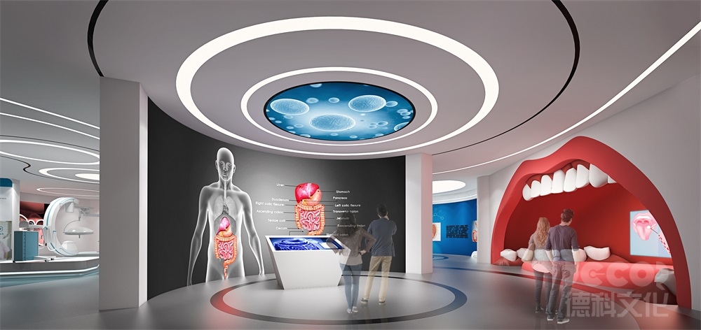 科技館設計如何劃分展區（如物理、生物、航天等）？